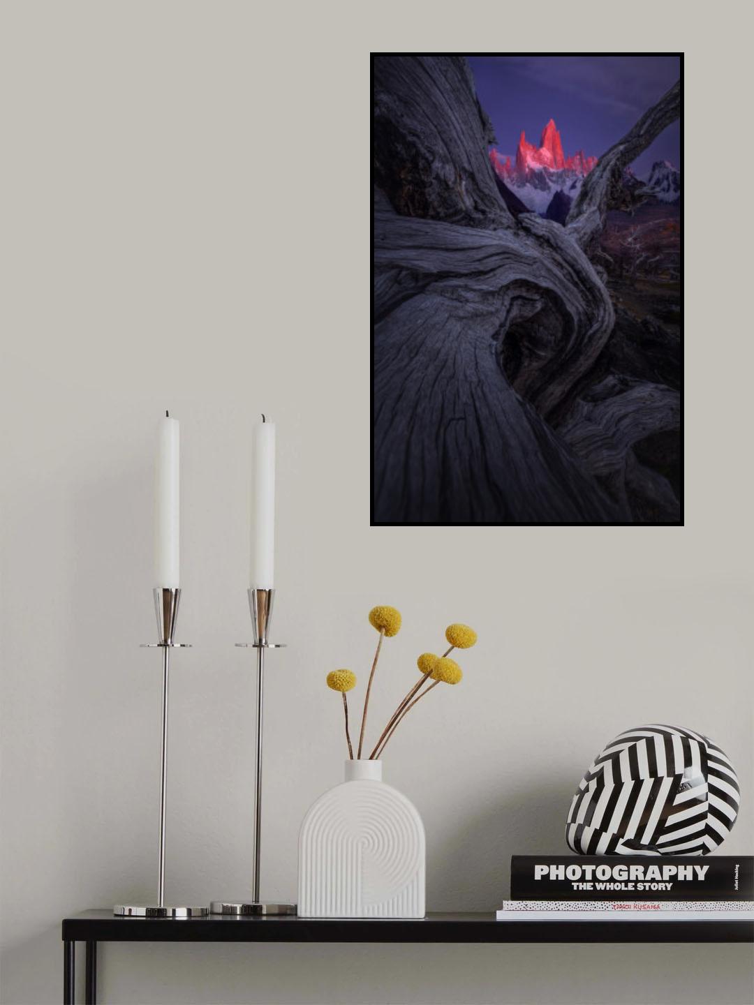 Poster och Canvastavla