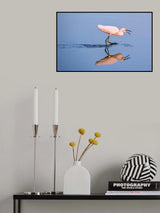 got you Poster och Canvastavla