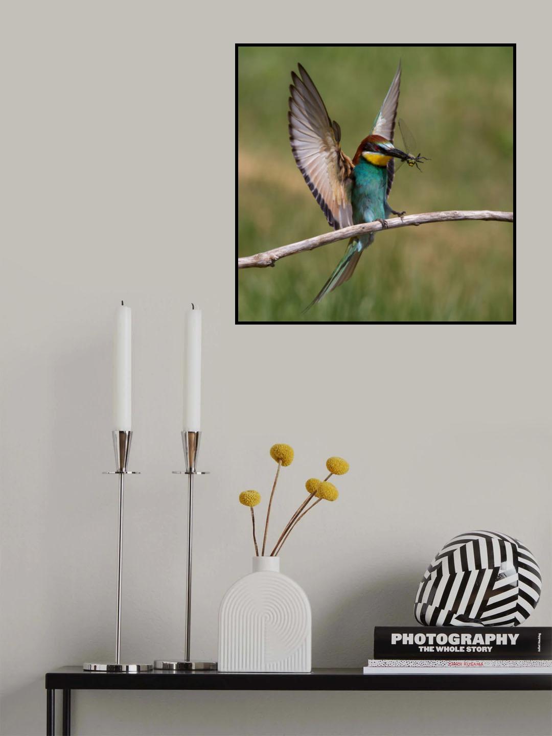Wings up ! Poster och Canvastavla
