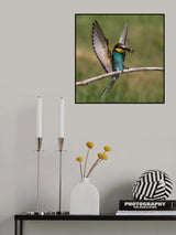 Wings up ! Poster och Canvastavla