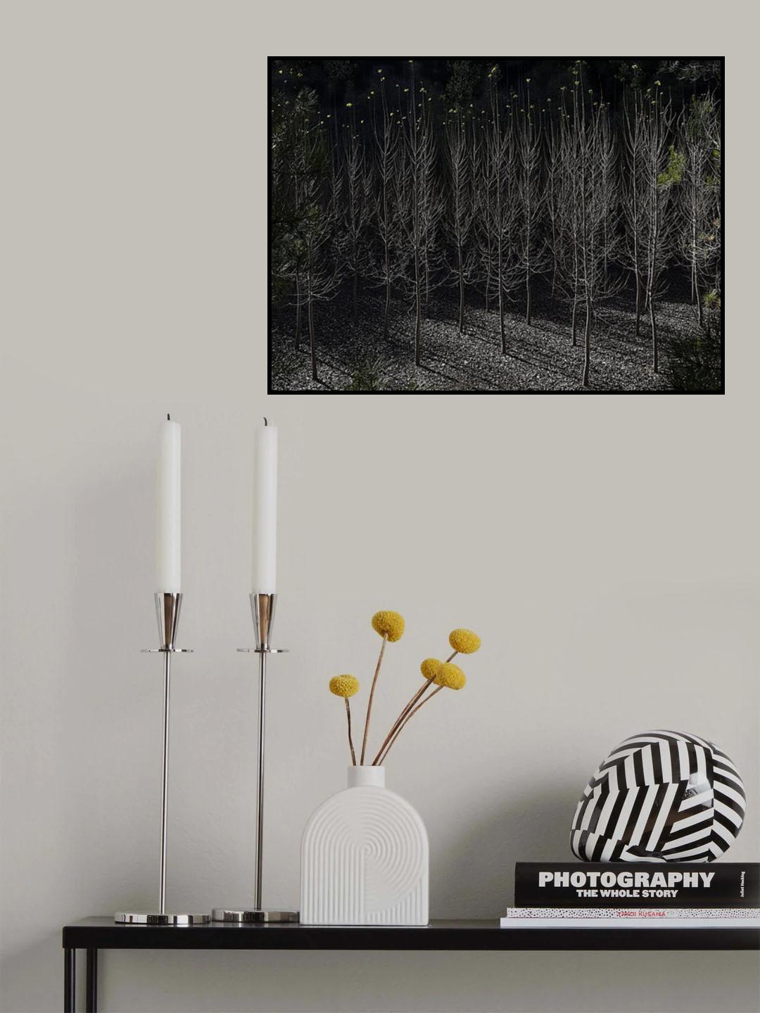 Poster och Canvastavla