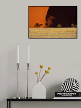 Curves Poster och Canvastavla