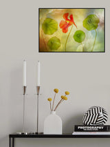 surrounded Poster och Canvastavla