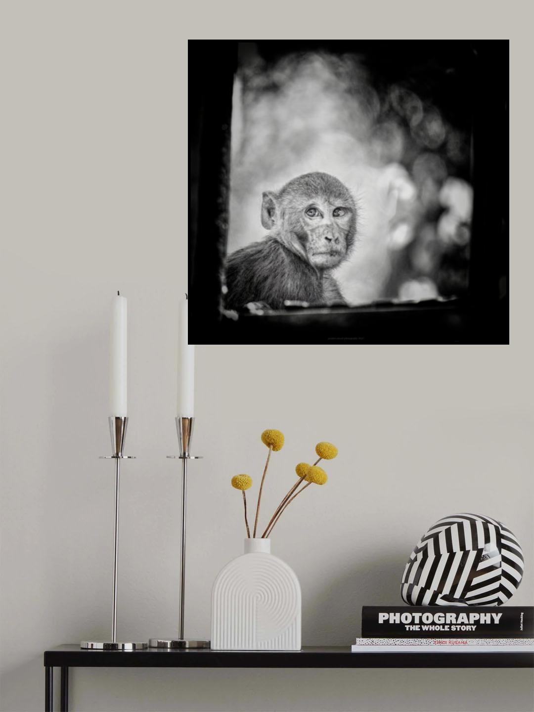 Innocence Poster och Canvastavla