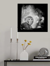 Innocence Poster och Canvastavla
