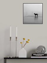 Have you seen my human? Poster och Canvastavla