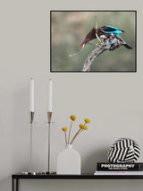 The snake Poster och Canvastavla