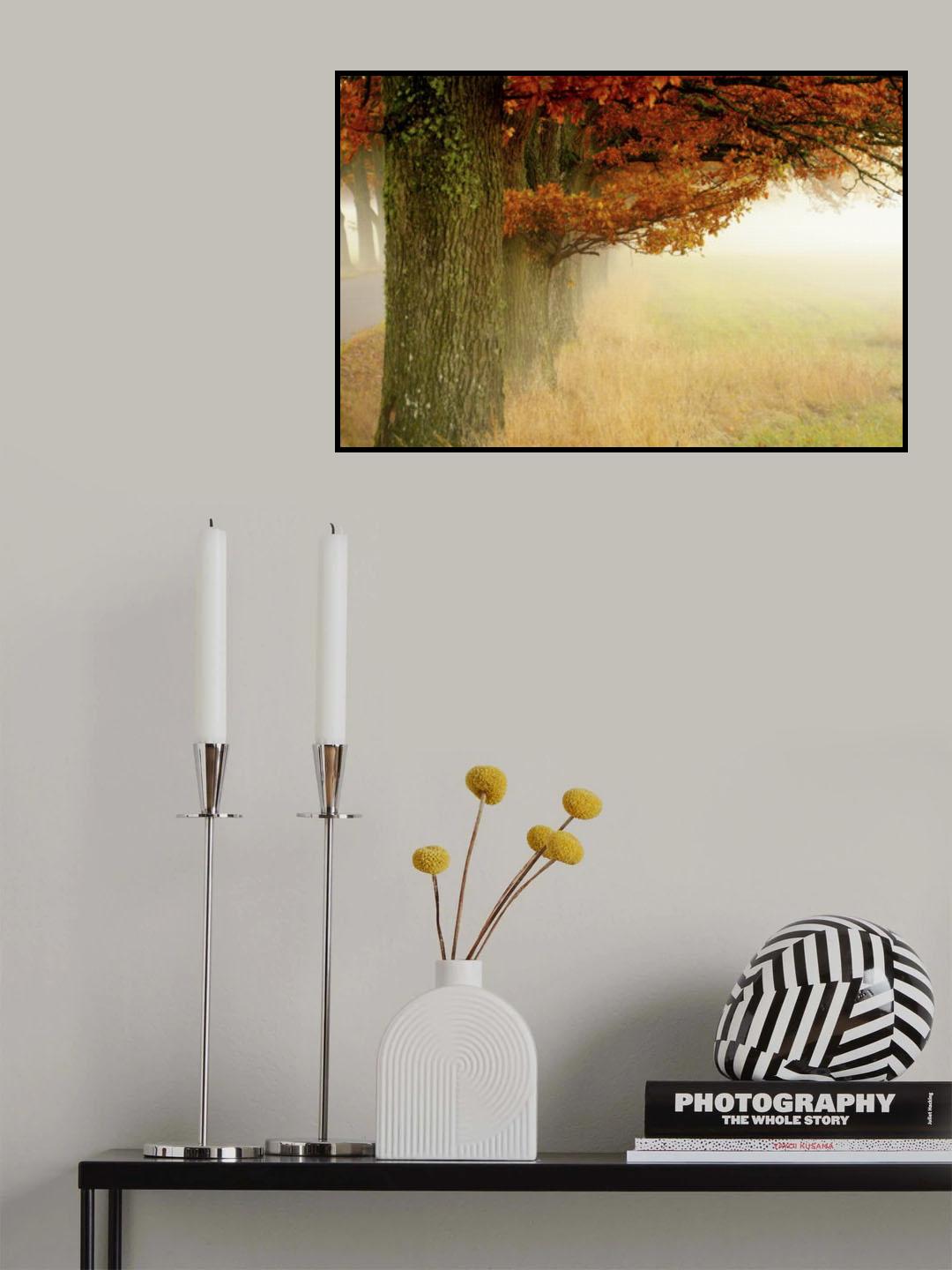 Autumn fog Poster och Canvastavla