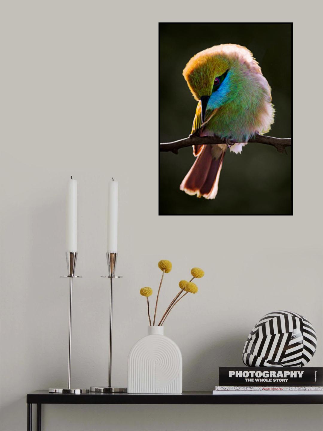 Bee Eater.. Poster och Canvastavla