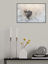 Honey eyes Poster och Canvastavla
