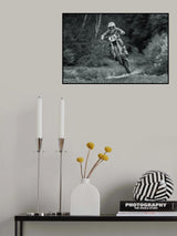 19 Poster och Canvastavla