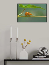 Love story Poster och Canvastavla