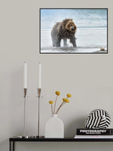 Shaking Poster och Canvastavla