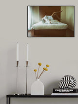 Flying Angel Poster och Canvastavla