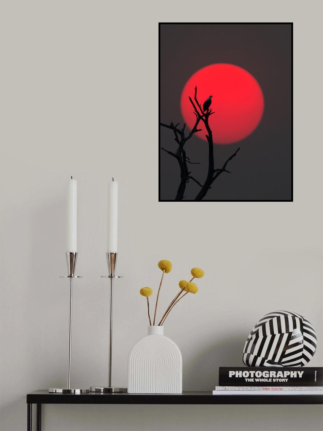 Sunset on Chobe River Poster och Canvastavla