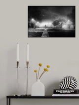 Alone Poster och Canvastavla