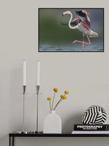 Dancing Flamingo Poster och Canvastavla