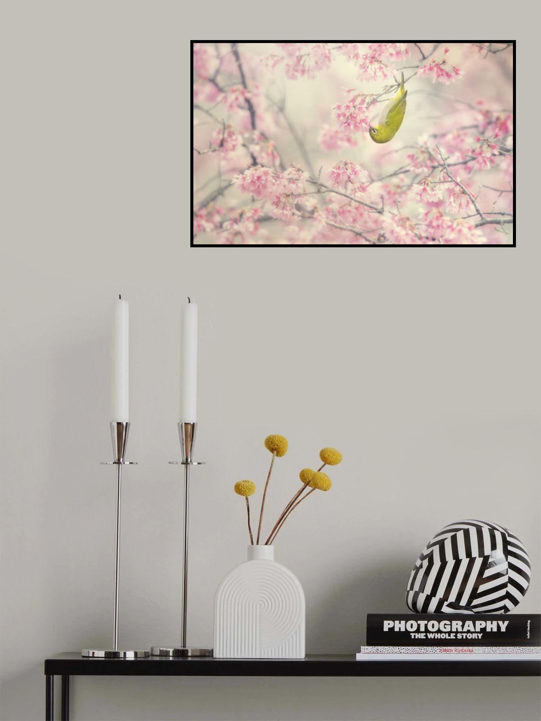 Cherry-blossom color Poster och Canvastavla
