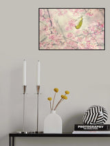 Cherry-blossom color Poster och Canvastavla