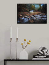 Borneo Rainforest Poster och Canvastavla