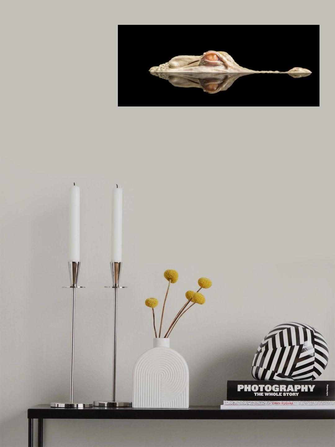 the white crocodile Poster och Canvastavla