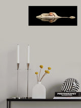 the white crocodile Poster och Canvastavla