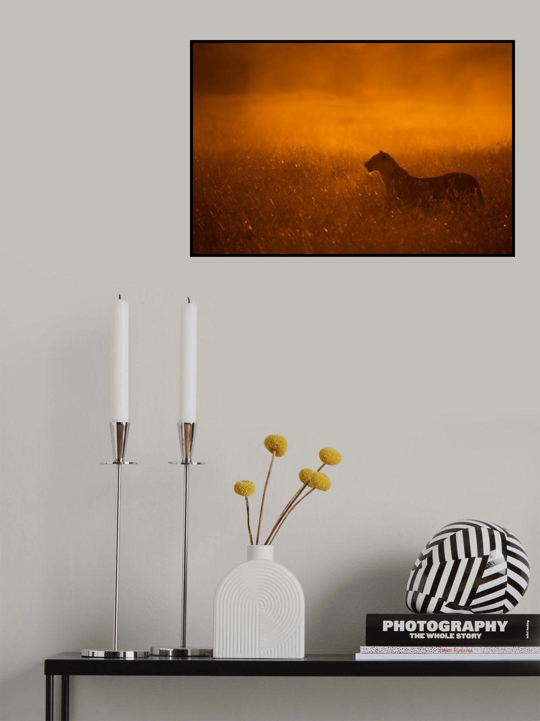 Gold Dust Poster och Canvastavla
