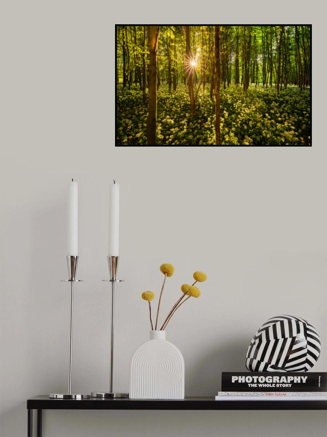 Poster och Canvastavla