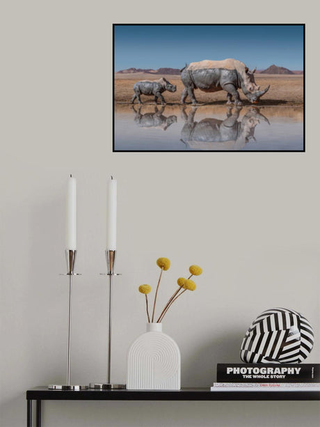 RhinosWalk Poster och Canvastavla