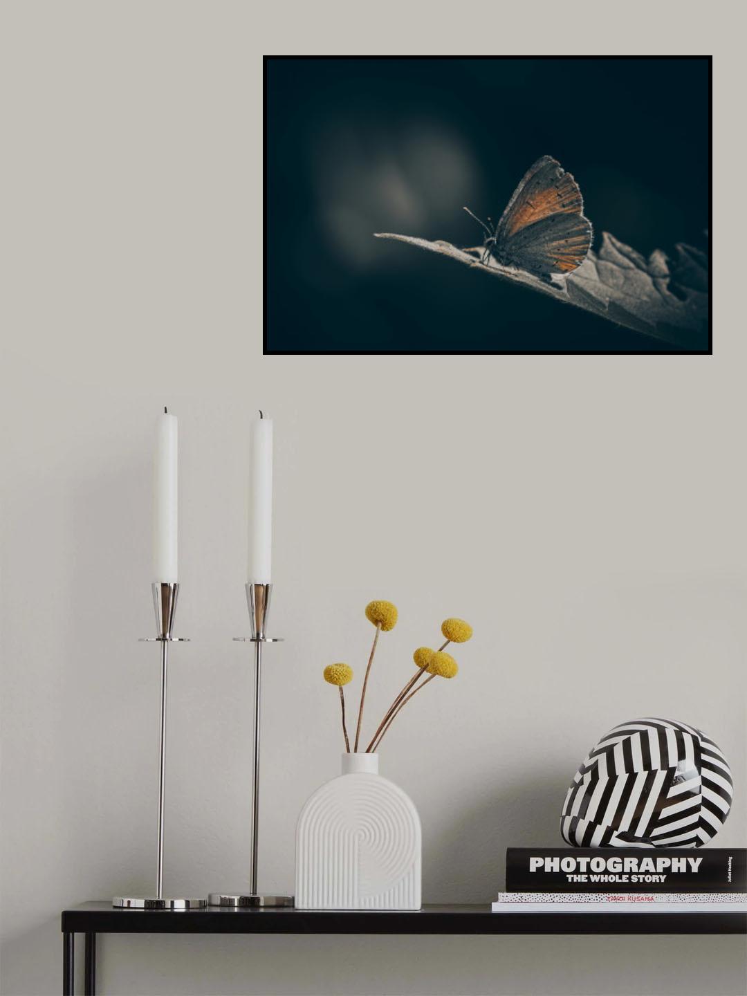 Old Blue catching the light Poster och Canvastavla