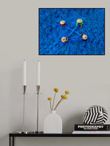 Netting Boys Poster och Canvastavla