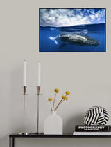 Between two worlds Poster och Canvastavla