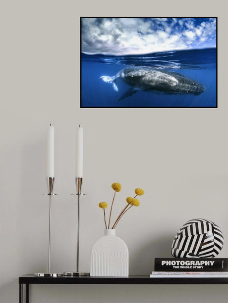Between two worlds Poster och Canvastavla