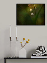 Dreaming of Spring - Lily of the valley Poster och Canvastavla