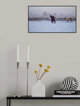 Nenet and reindeer II Poster och Canvastavla