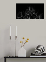 Salsify 2 Poster och Canvastavla