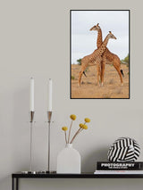Necks Poster och Canvastavla