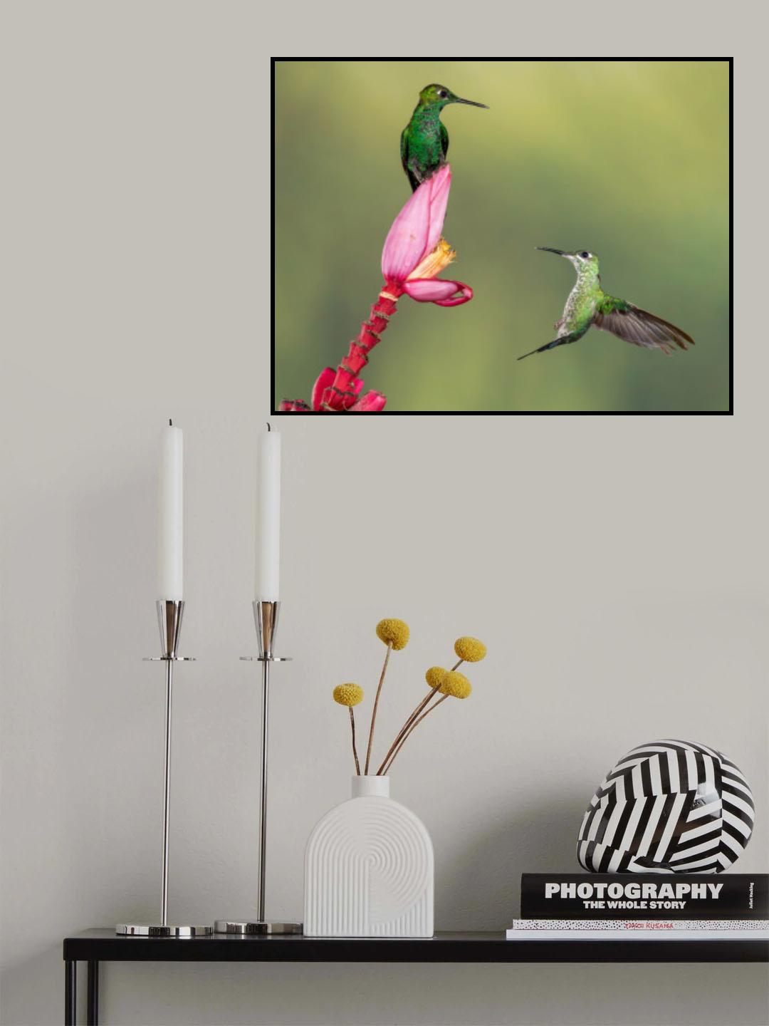 Guarding the Nectar Supply Poster och Canvastavla