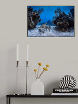 Crossing Poster och Canvastavla