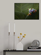 Ready to jump Poster och Canvastavla