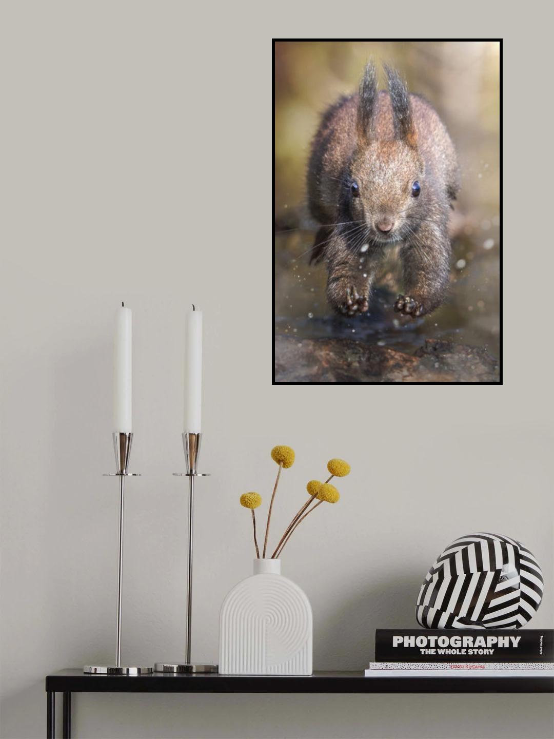 The jump of the squirrel Poster och Canvastavla