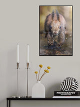 The jump of the squirrel Poster och Canvastavla