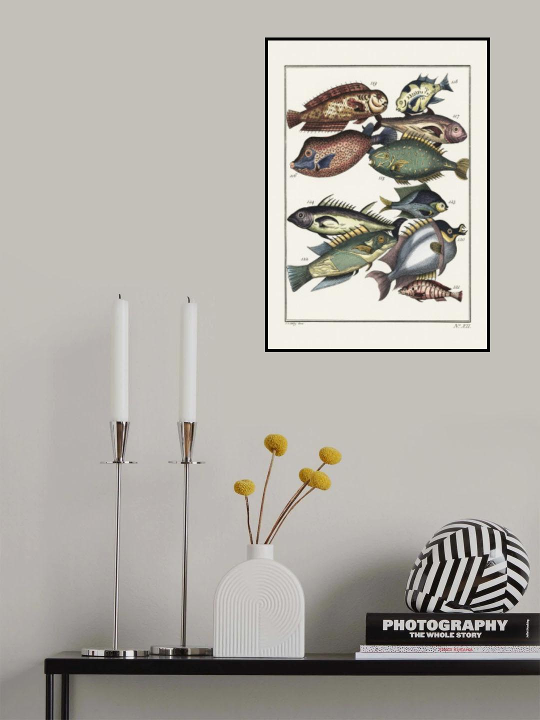 Exotic Fish (1767) By J V Schley Poster och Canvastavla