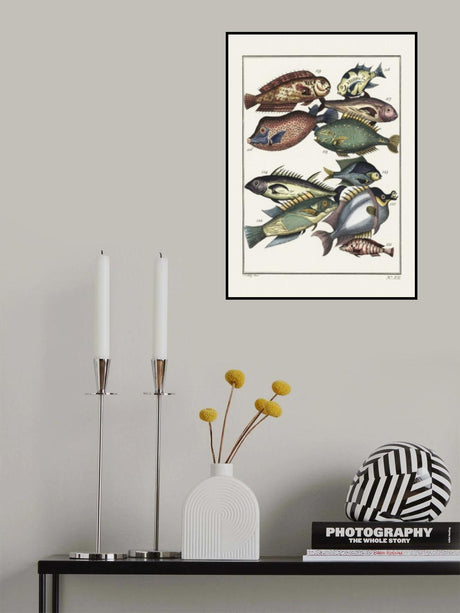Exotic Fish (1767) By J V Schley Poster och Canvastavla