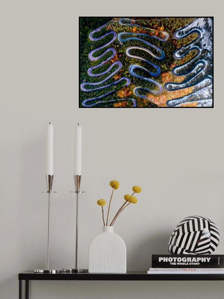 Drawing Poster och Canvastavla