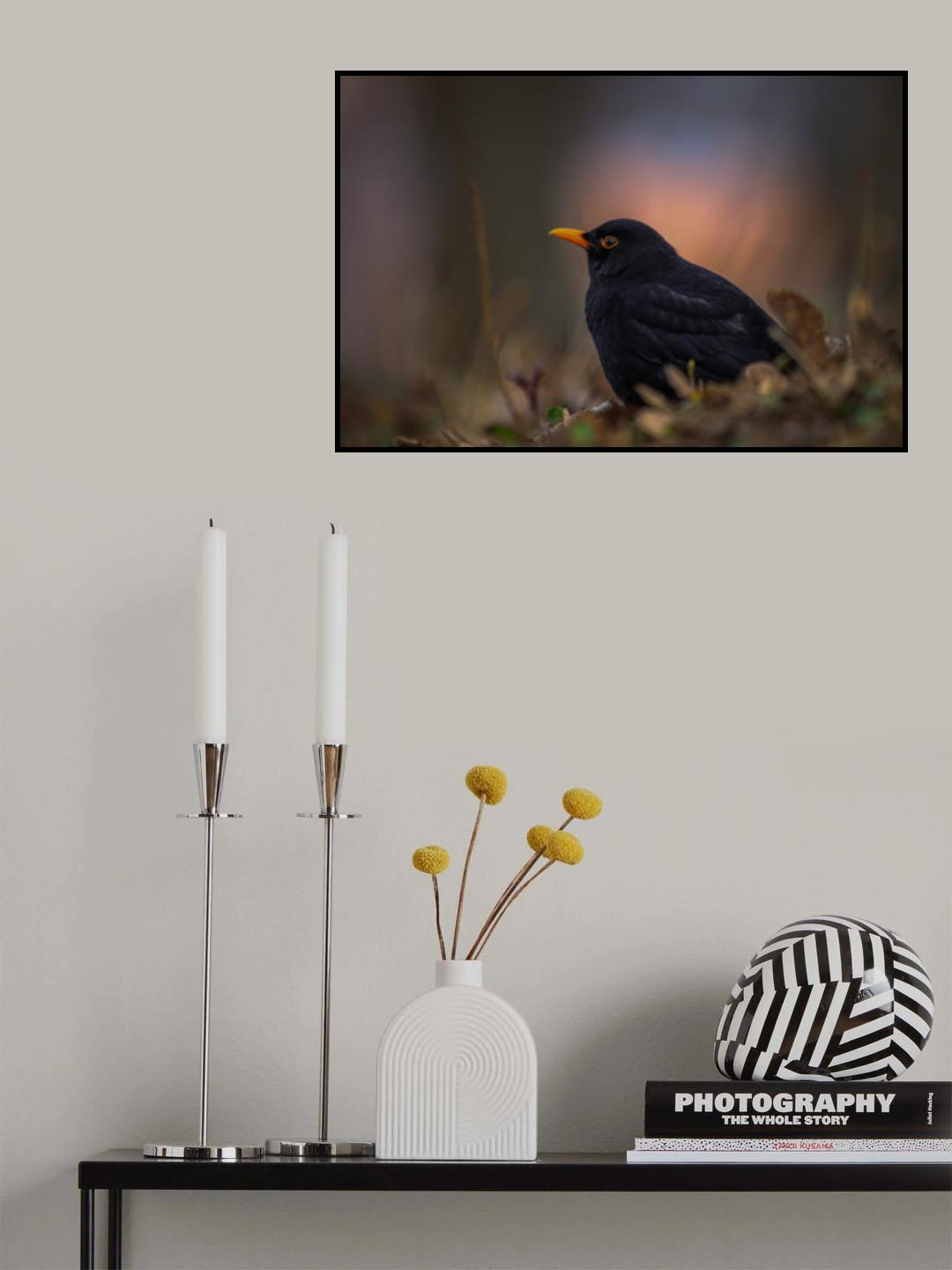 Blackbird Poster och Canvastavla