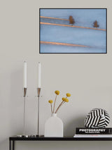 Light traces Poster och Canvastavla