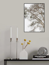 Plain Tree Poster och Canvastavla