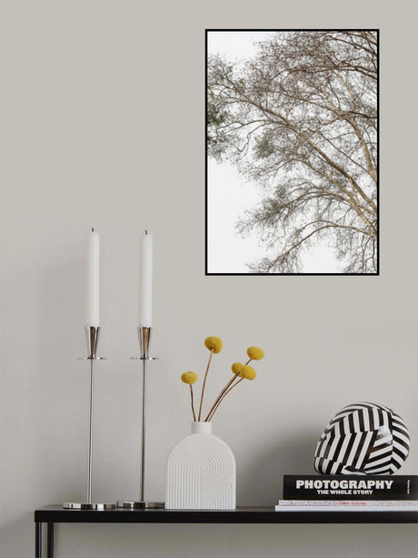 Plain Tree Poster och Canvastavla