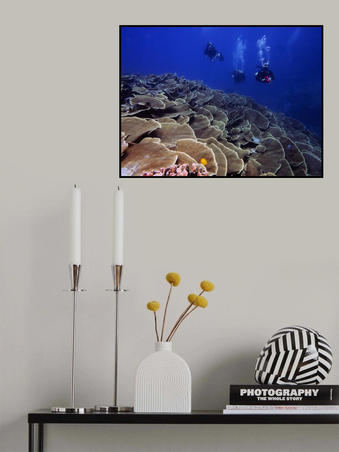 Ulong Channel Poster och Canvastavla